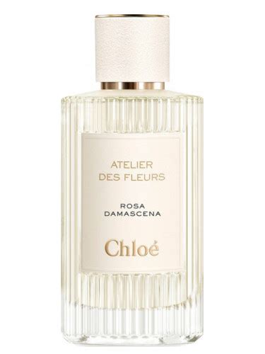 chloe rosa damascena|rosa damascena by chloe.